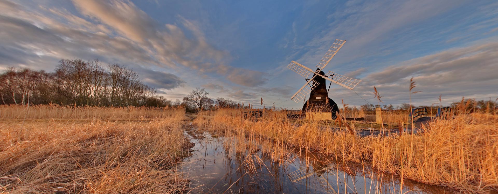 Wicken Fen Vision, Cambridgeshire